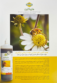 هایوکلین