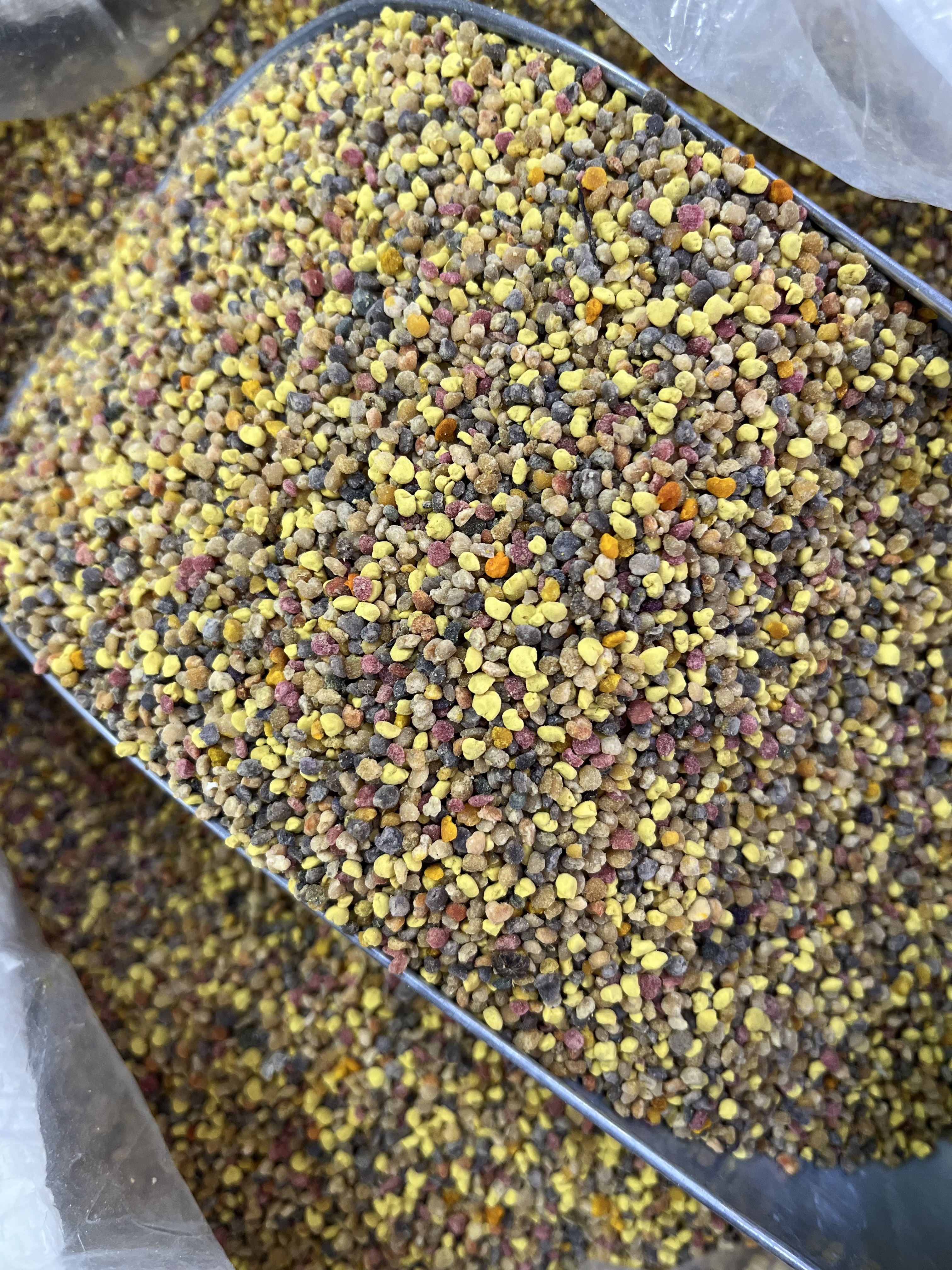 گرده گل کوهستان